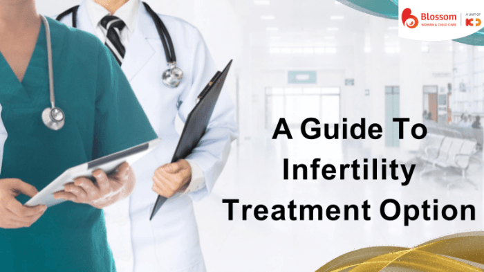 Infertility Treatment Options