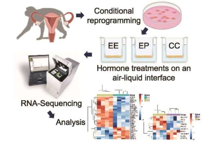 Best Birth Control Methods 2025